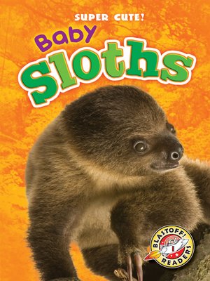 cover image of Baby Sloths
